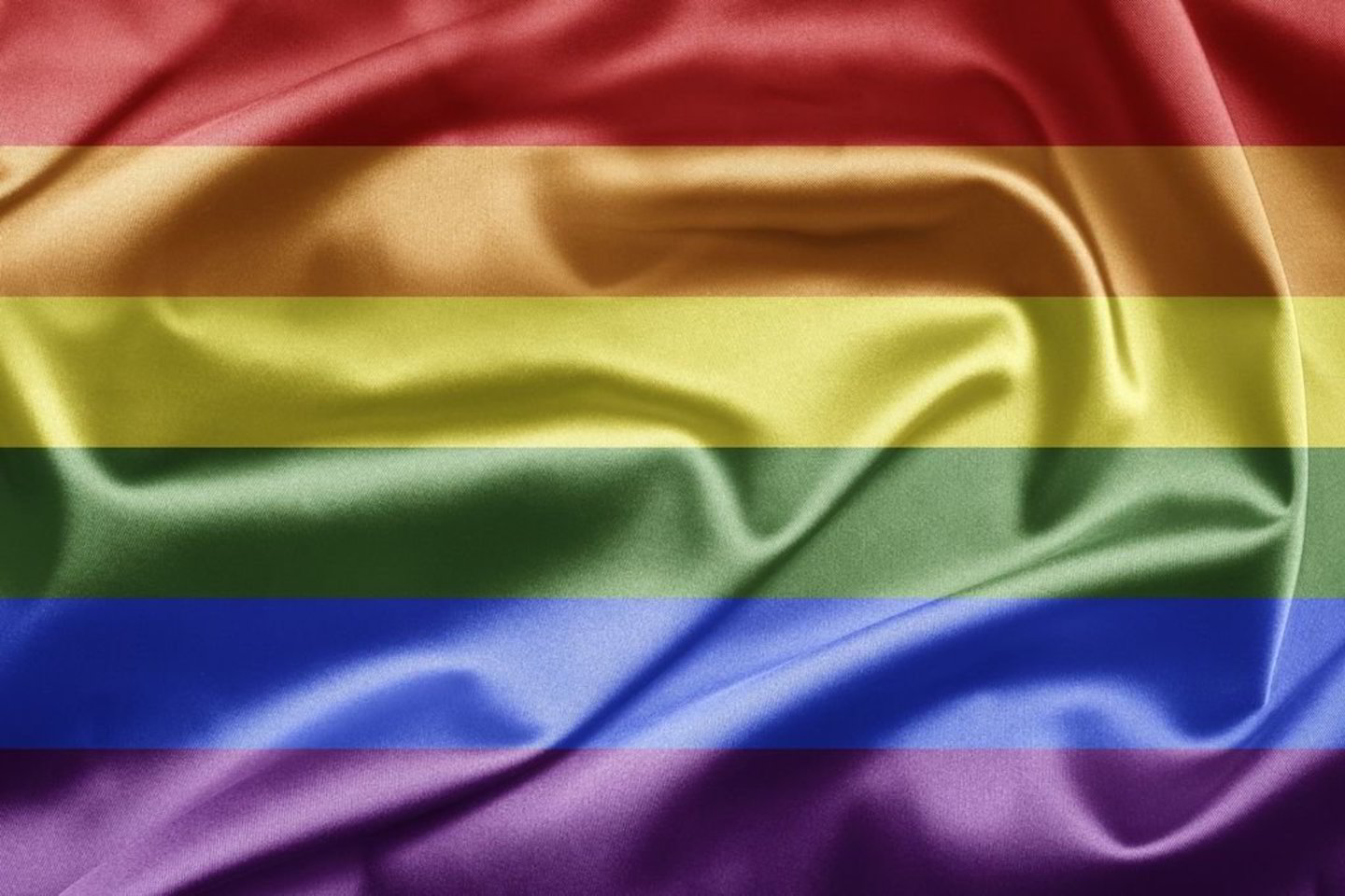 Homoseksualūs žmonės vaikų mūsų šalyje neįvaikina ir niekada nėra net kreipęsi su tokiu prašymu į atitinkamas tarnybas.