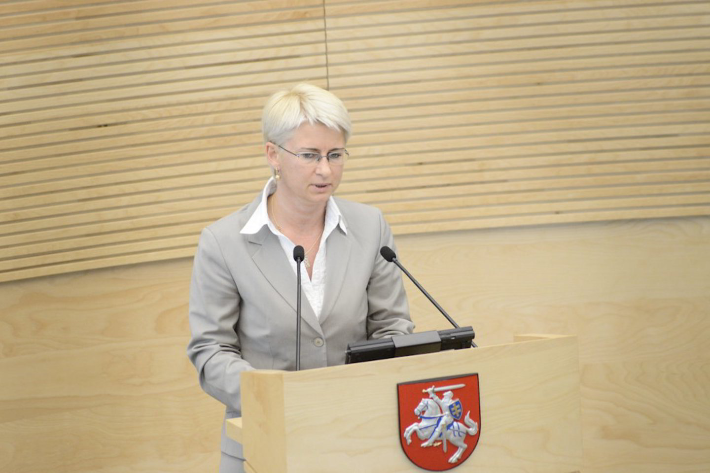 N. Venckienė kalbėjo ir iš Seimo tribūnos.