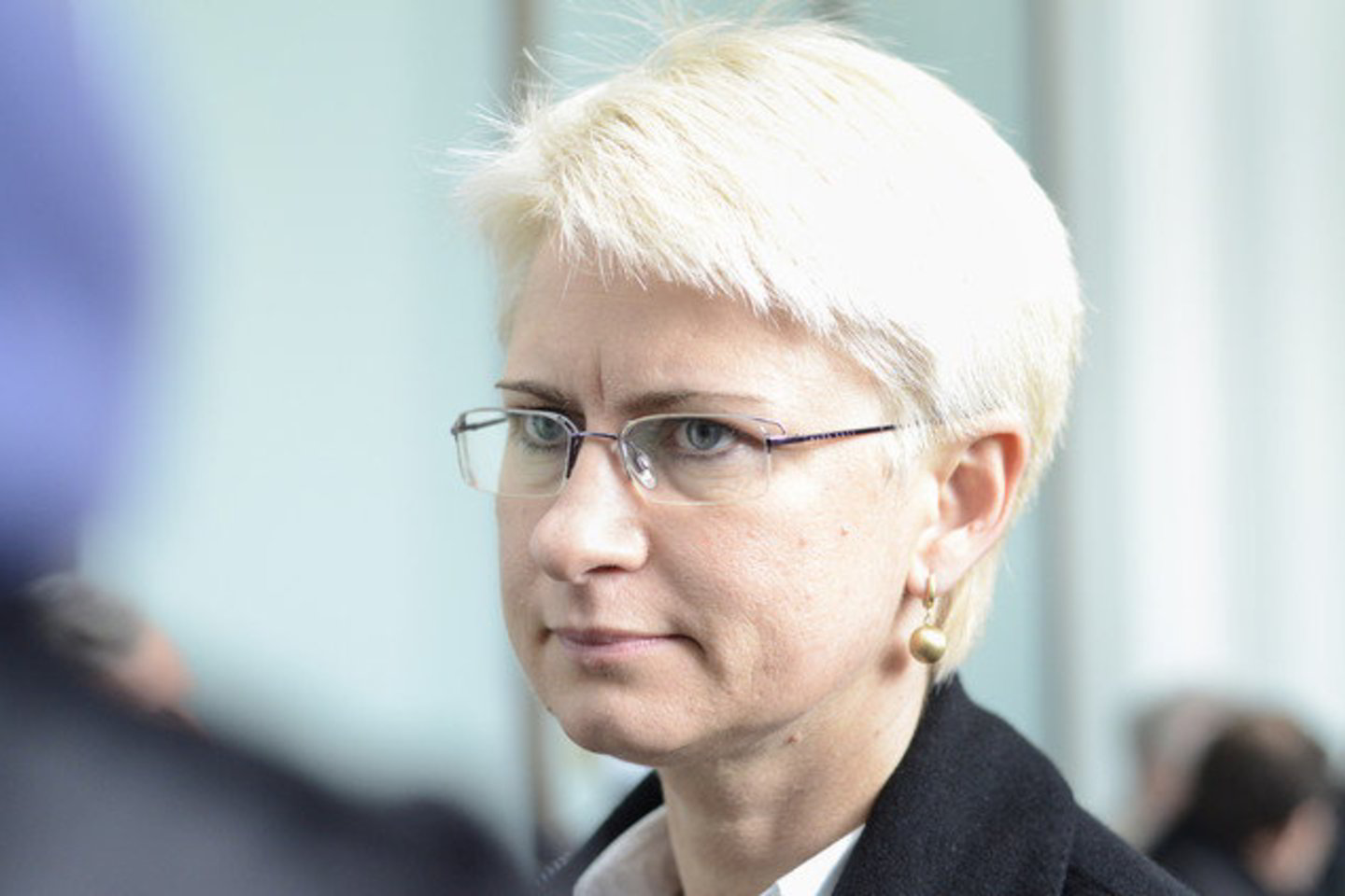 N. Venckienę prokurorai įtaria padarius mažiausiai penkias nusikalstamas veikas.