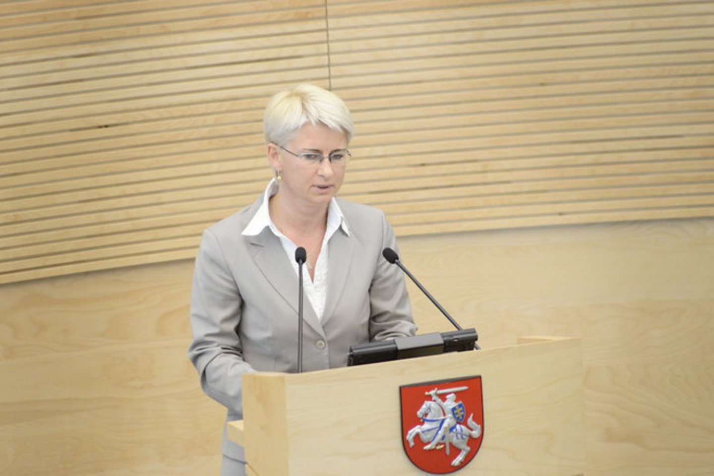 Po audringų diskusijų ir ilgų kalbų Seimas antradienį leido panaikinti N. Venckienės teisinę neliečiamybę.