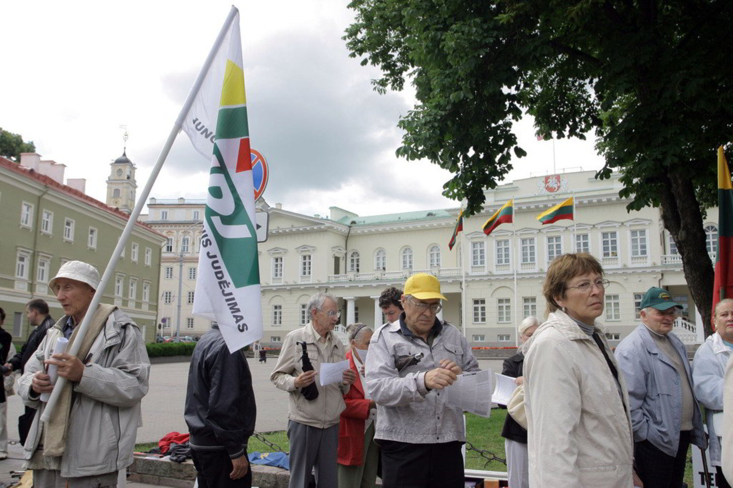 Į mitingą susirinko apie 100 žmonių. Jie laikė plakatus, vėliavas, popierinius vėjo malūnėlius.
