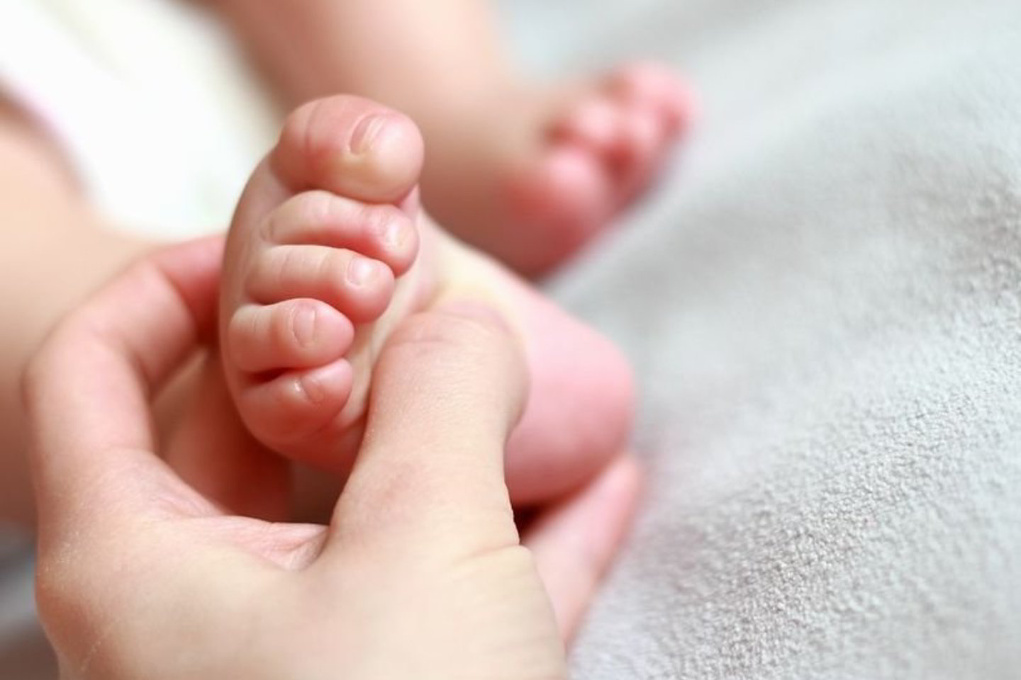 Naktį iš antradienio į trečiadienį Santariškių klinikose kūdikiui buvo persodinta širdis, kurią kariai sraigtasparniu atgabeno iš Rygos.