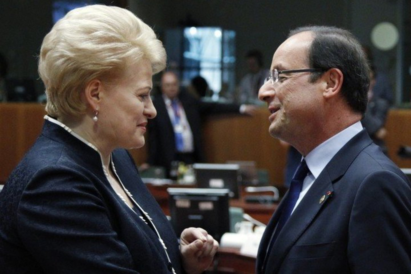 D. Grybauskaitė apie ateitį turėjo progą pakalbėti su Francois Hollande'u.