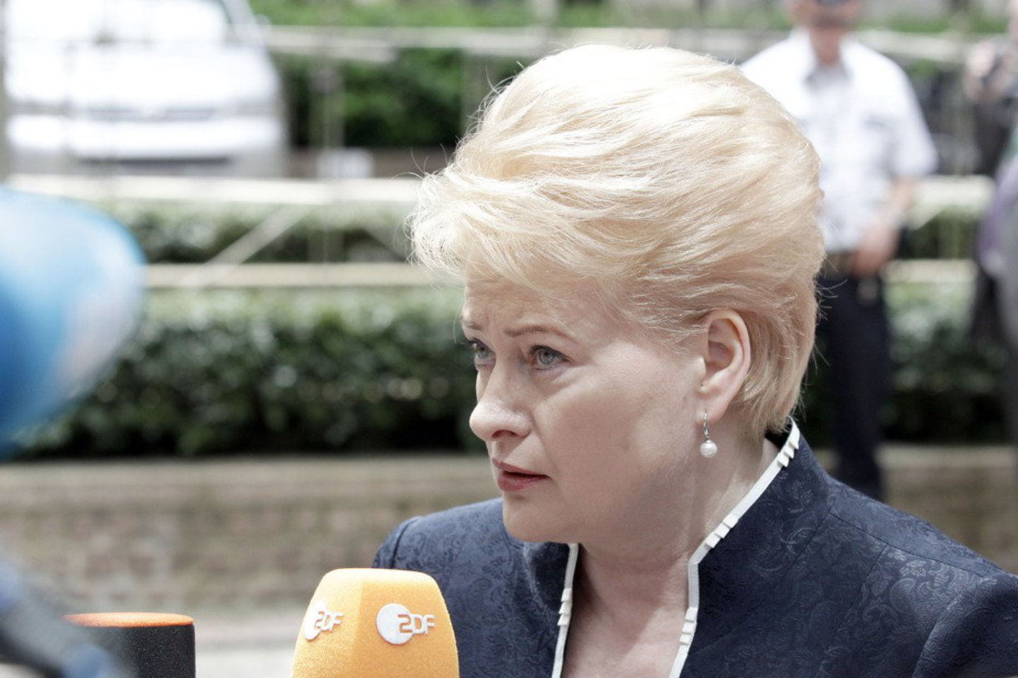 D. Grybauskaitė dalyvauja Europos Sąjungos viršūnių susitikime.