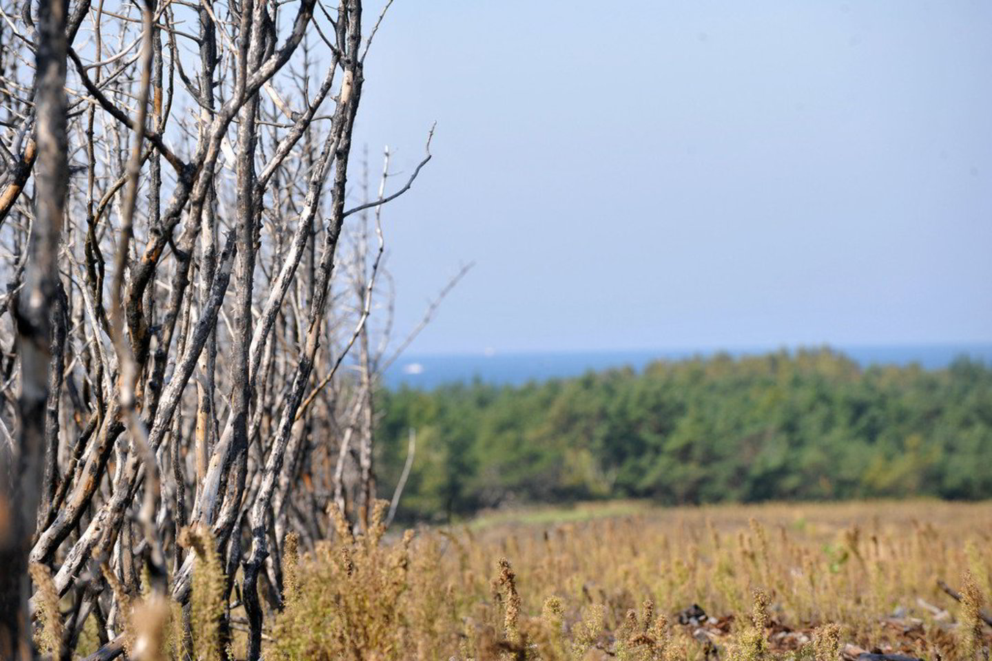 UNESCO laukia informacijos, kokį poveikį Kuršių nerijai gali padaryti planuojamas suskystintų gamtinių dujų (SGD) terminalas.