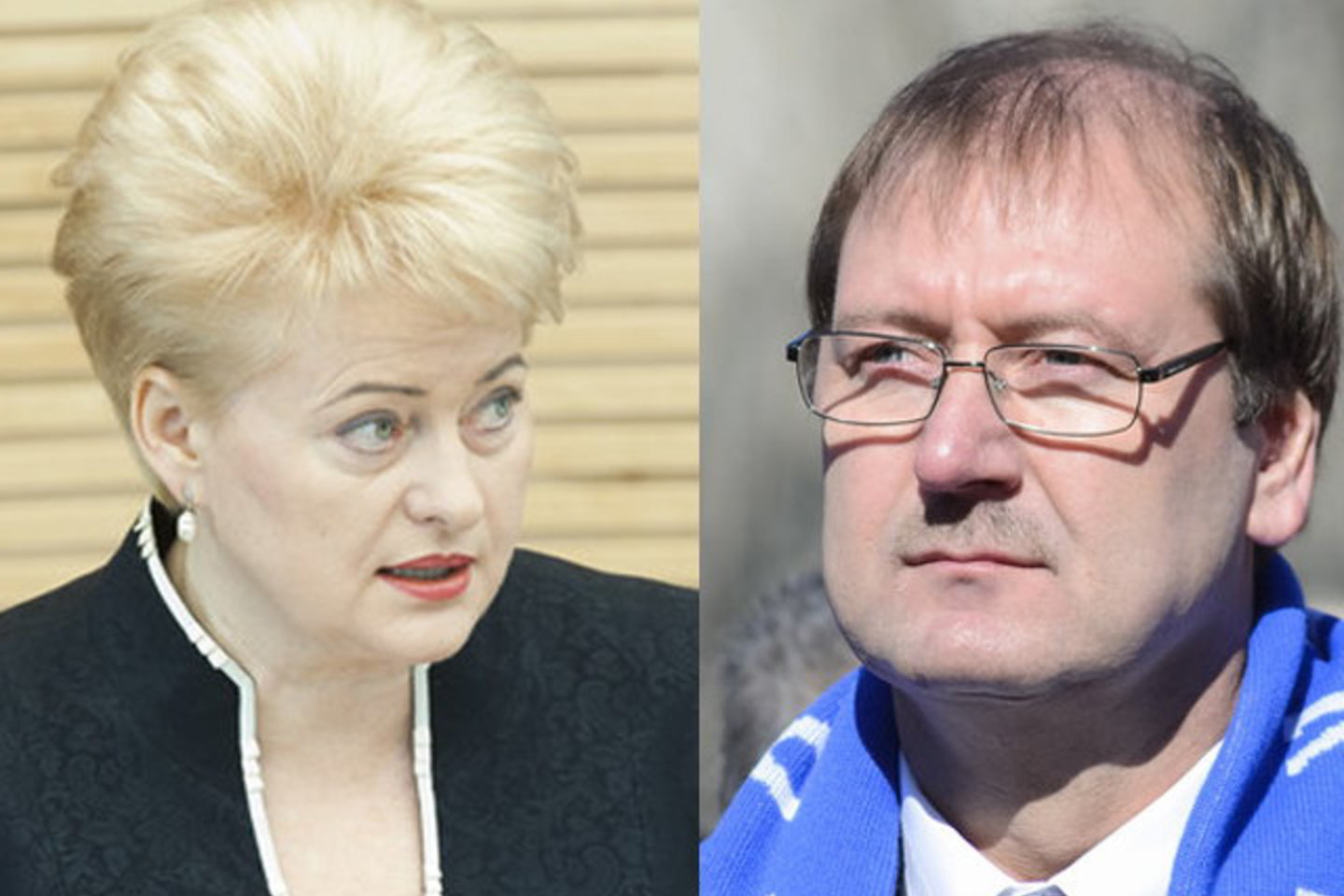 V, Uspaskichas suabejojo D. Grybauskaitės nuomone