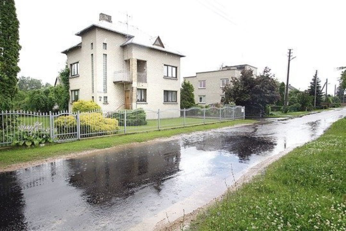 Mero A. Greimo laukia nemalonumai dėl prie jo namų išasfaltuotos gatvės.