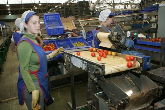 Emigrantai, nemanykit, kad jūs Lietuvai nieko neskolingi (atsakymas buvusiam emigrantui)