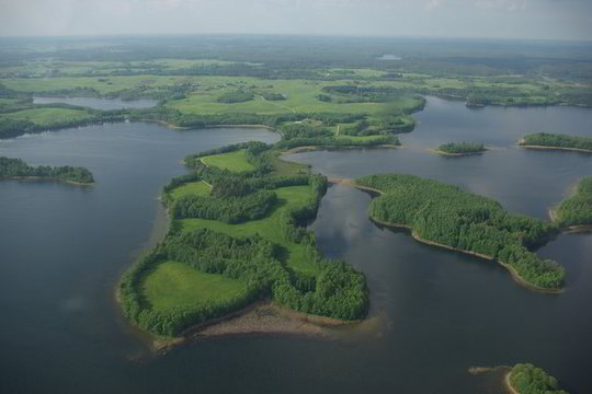Laiškas: emigrantams nereikia priminti, kad turime mylėti savo tėvynę