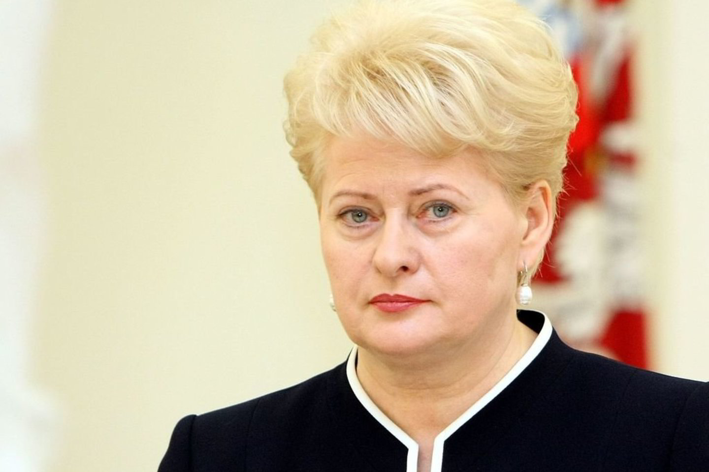 D. Grybauskaitė nė karto nerengė iškilmingo priėmimo Valstybės dienos proga.