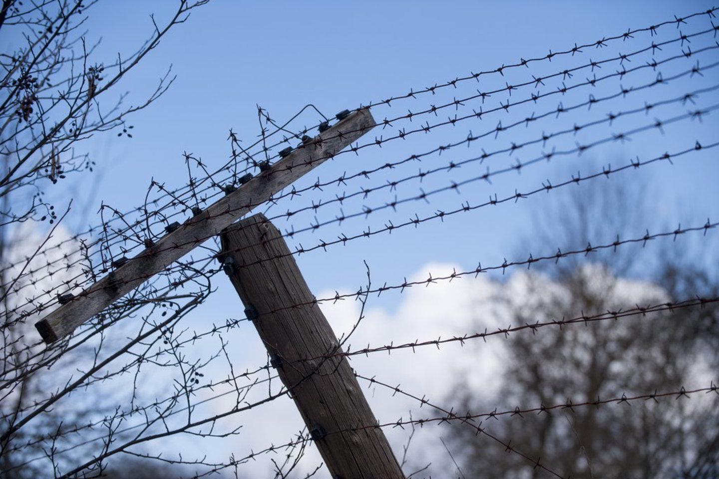 Lenkijos sieną kirtę imigrantai tapo legaliais gyventojais.