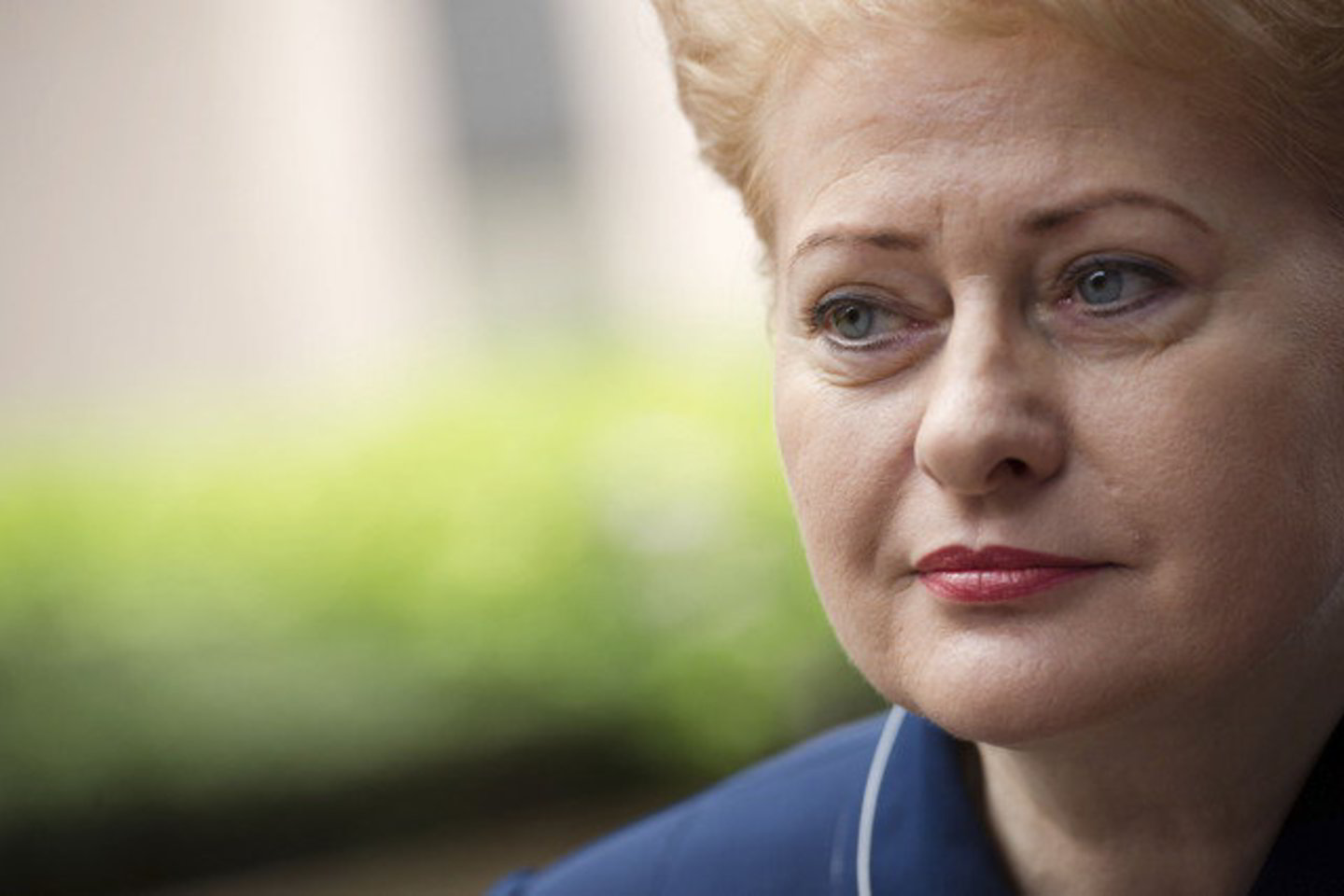 D. Grybauskaitė tikina, kad vietos valdžia dirbtų efektyviau, jeigu ir merai, ir seniūnai būtų renkami tiesiogiai.