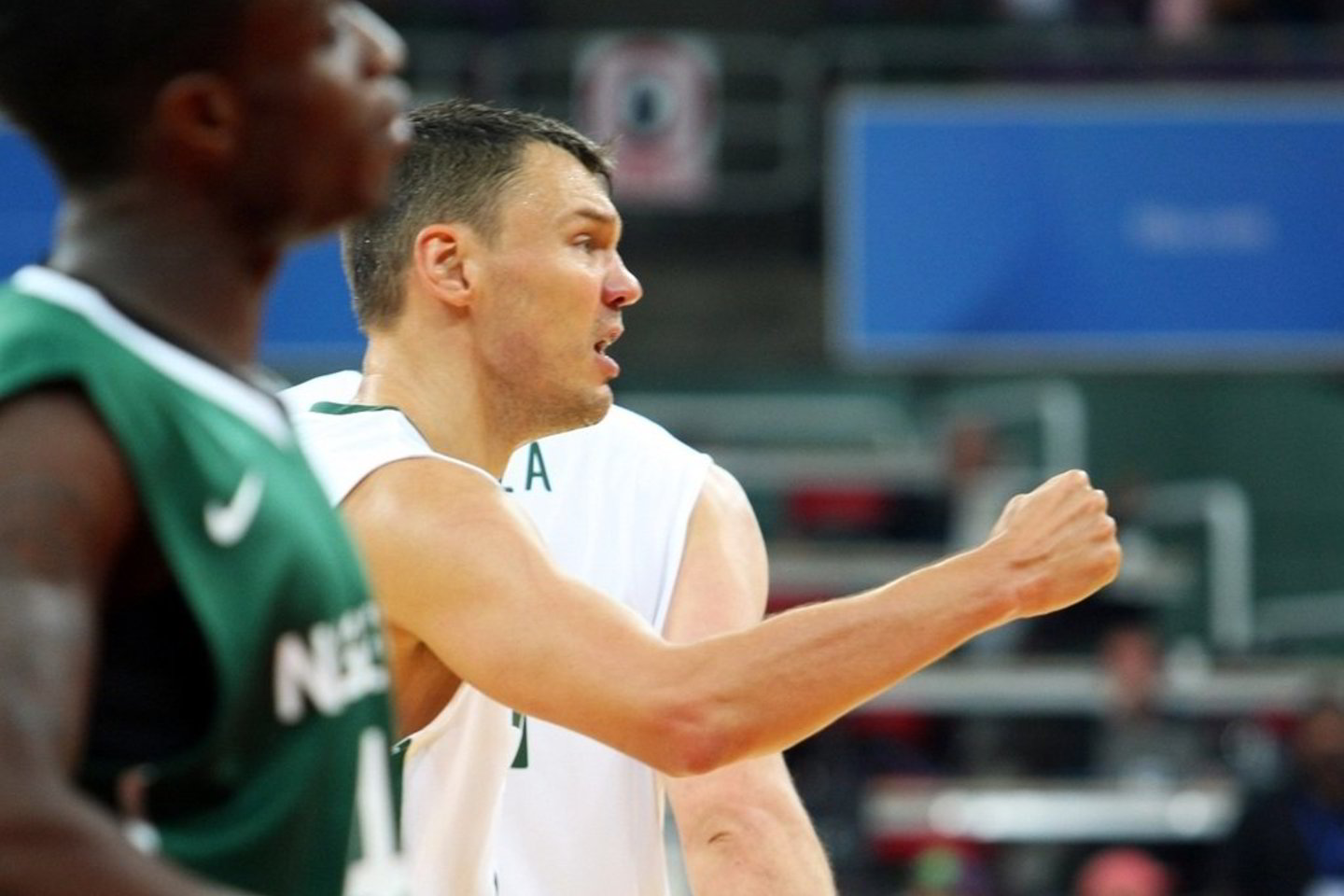 Š. Jasikevičius mače su Nigerija pelnė 14 taškų.