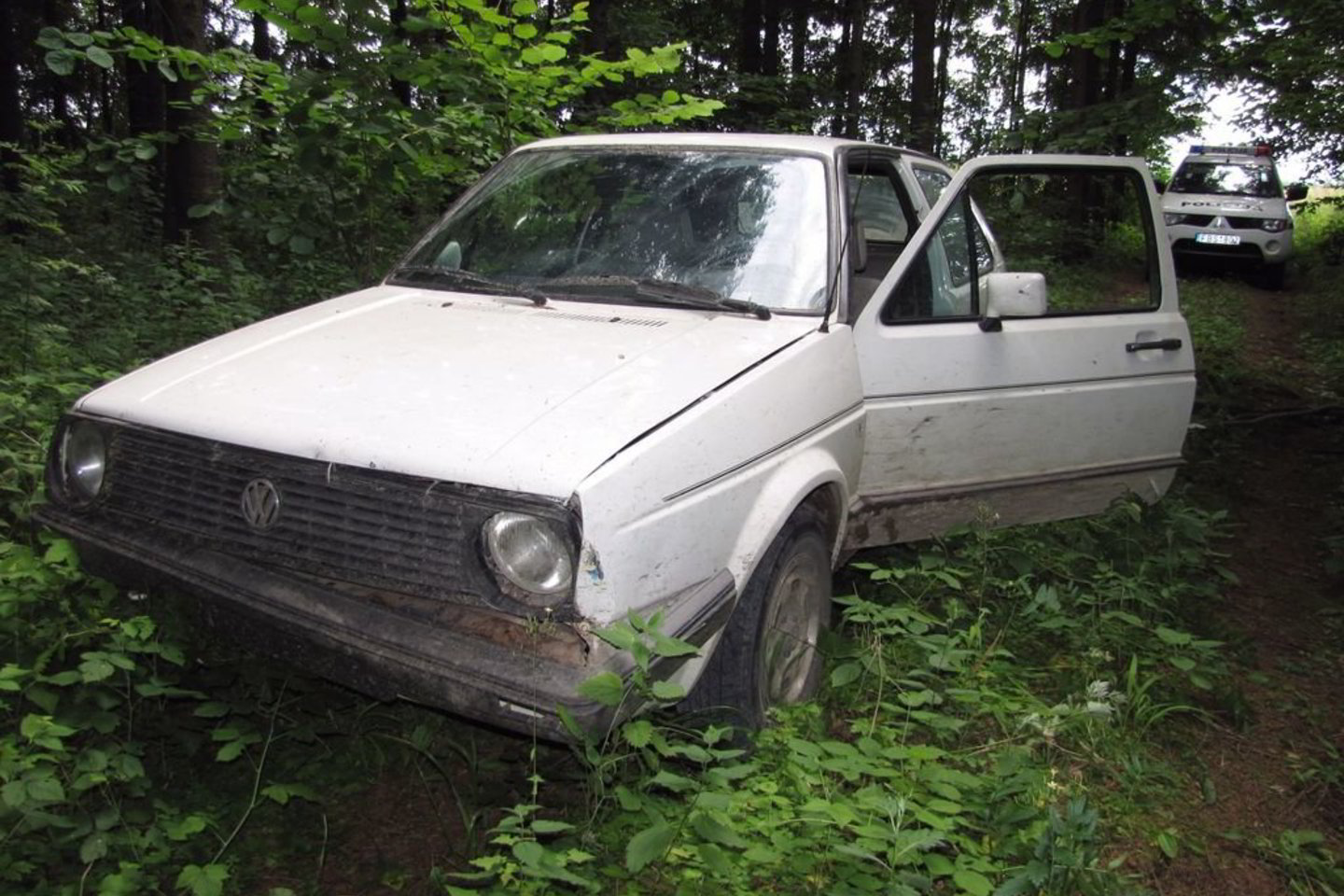 Girsteikių miške Panevėžio rajono policijos komisariato pareigūnai rado tris vogtus "VW Golf" automobilius.