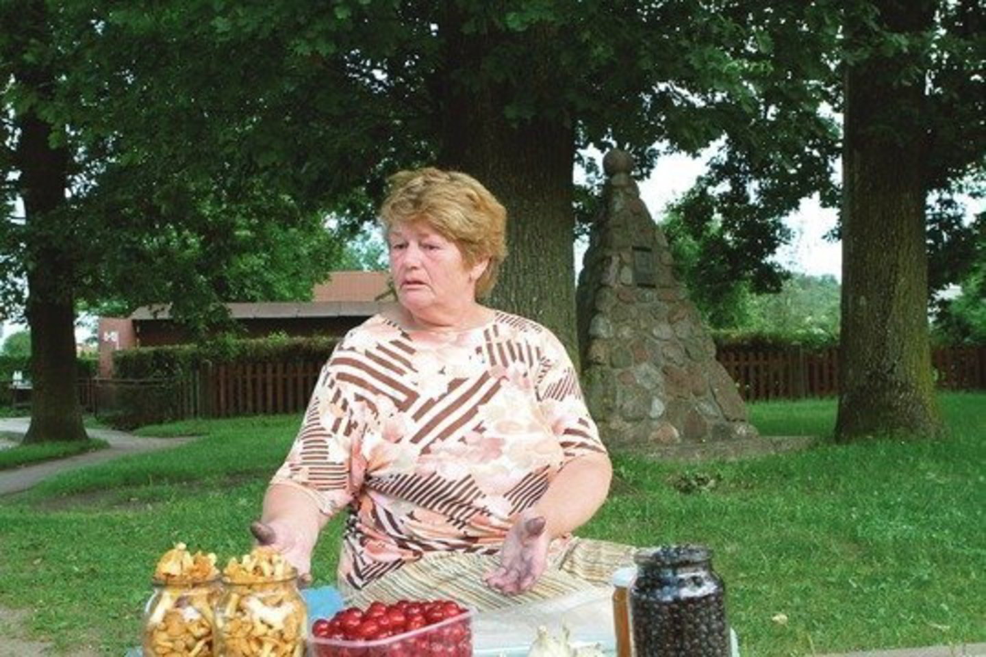 Tik kasdienis triūsas nuo tamsos iki tamsos renkant uogas ir auginant daržoves pensininkei N.Mažeikienei padeda išlaikyti dviejų aukštų namą pakaunėje.