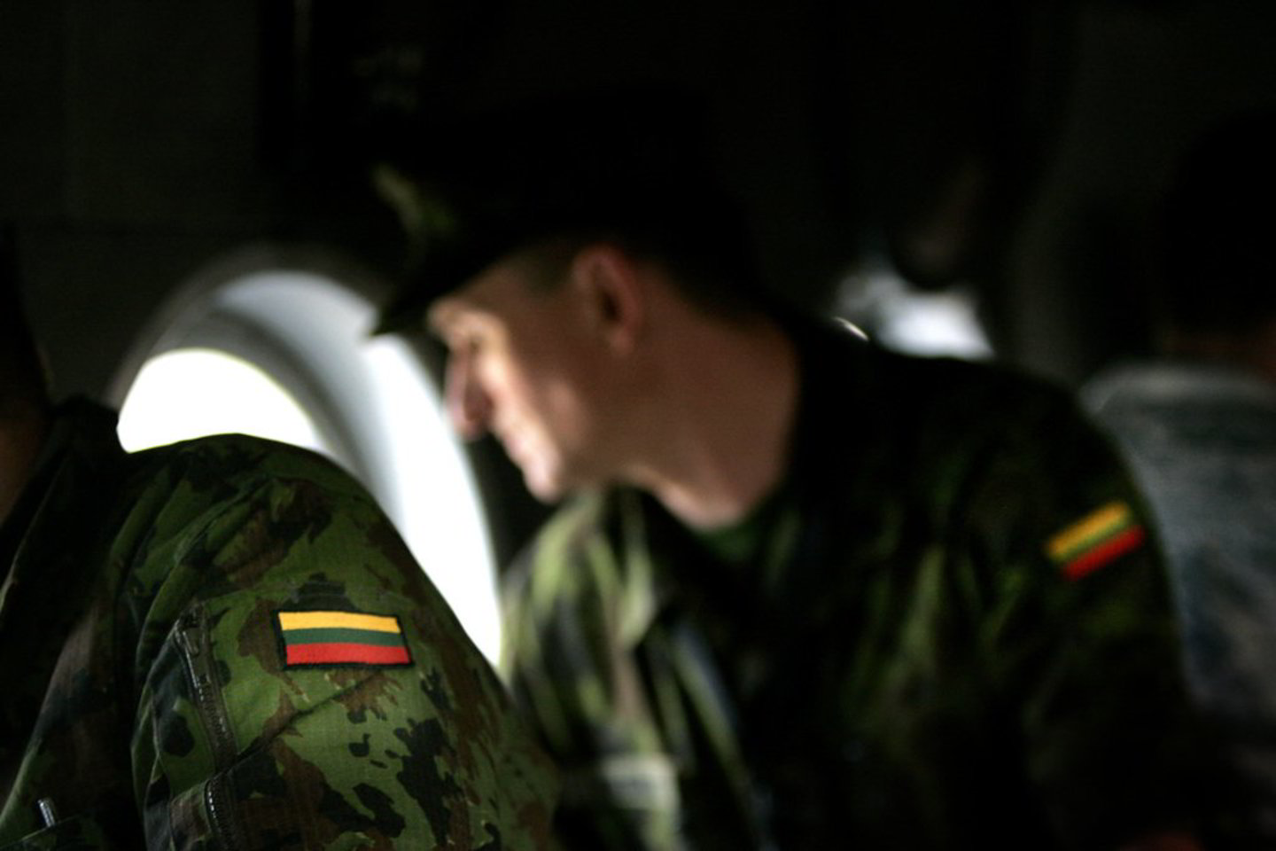 Kaip pranešė Krašto apsaugos ministerija, į mokymus iš viso atvyko 86 kariai, daugiausia iš Vilniaus ir Klaipėdos apskričių.