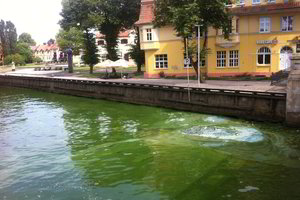 Danės upė Klaipėdos svečius šiurpina srutomis ir šiukšlėmis