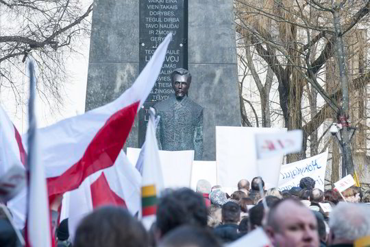Lenkai šaukiasi tarptautinių stebėtojų Lietuvos Seimo rinkimams