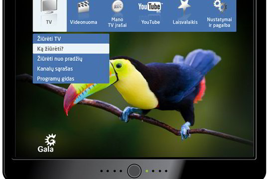 Prasidėjusias TV laidas galės peržiūrėti nuo pradžių