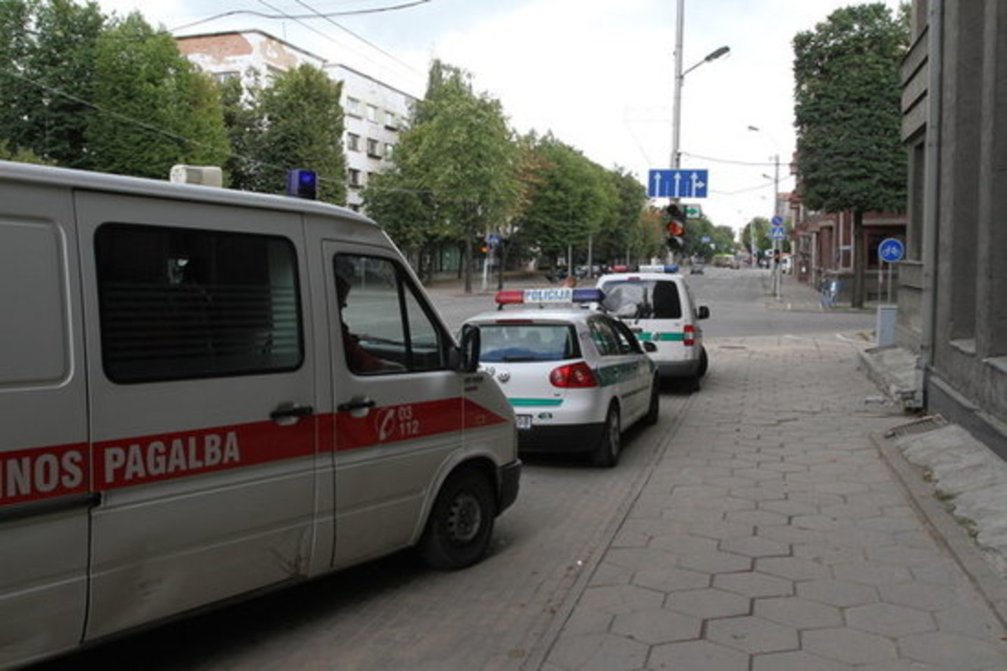 Lazdijų rajone ir Kėdainiuose medikai gydo automobilių partrenktus vaikus.