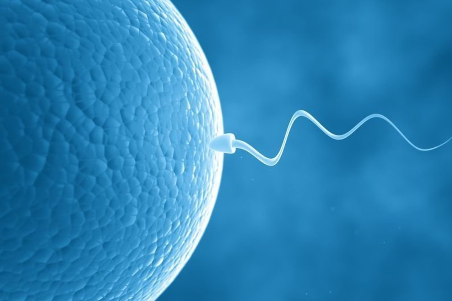 Kai vyras sėdo į kalėjimą, D. Siben buvo penktą mėnesį nėščia ir jau turėjo 18 mėnesių dukterį.