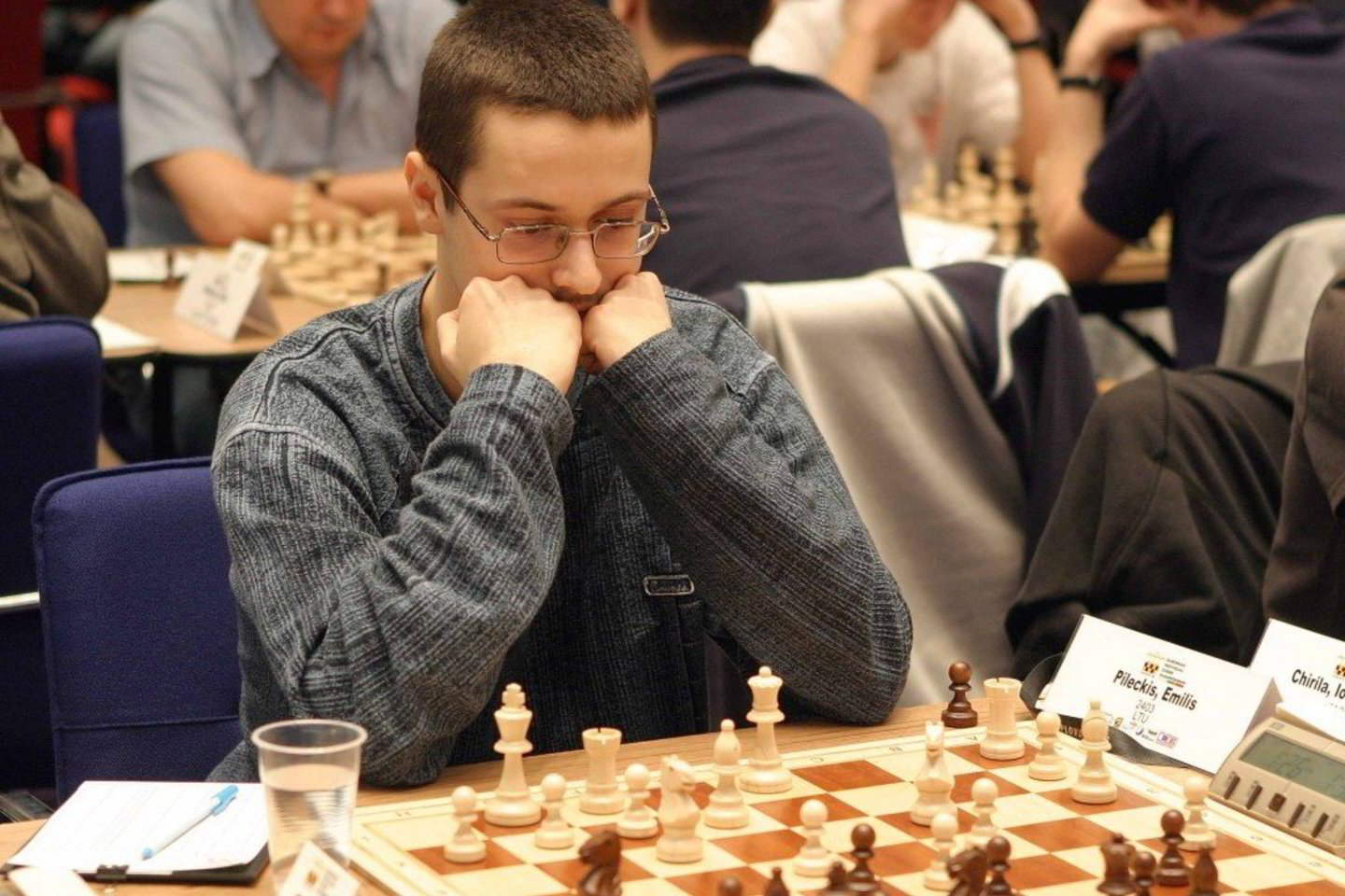 E. Pileckis nugalėjo tarptautiniame šachmatų turnyre "Panevėžys Open 2012".