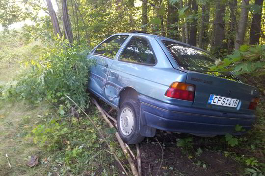 Po vilkiko ratais pakliuvusiu automobiliu važiavęs berniukas atsipirko išgąsčiu