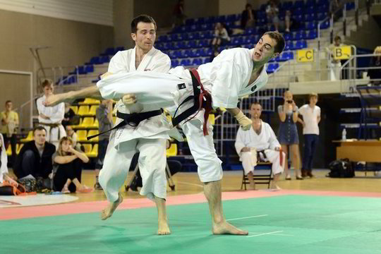 Karatė meistrai pasaulio čempionate tikisi pademonstruoti aukšto lygio meistriškumą