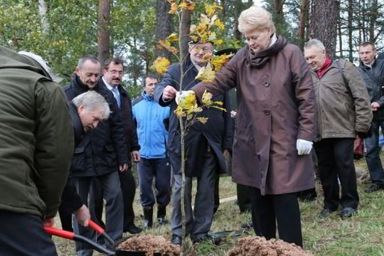 D. Grybauskaitė Prezidentų ąžuolyne pasodino ąžuoliukus