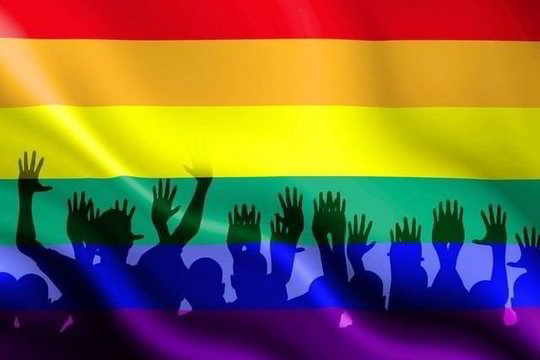 Ką parlamente norėtų matyti Lietuvos homoseksualai?