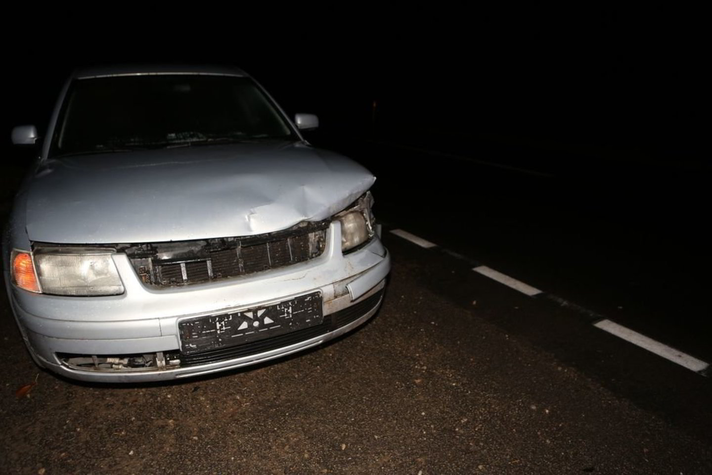 Pirmasis su šernu susidūrė automobilis "VW Passat".