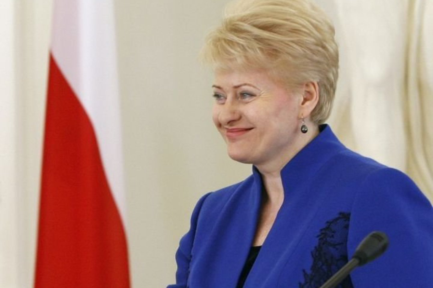Sekmadienio iškilmėse Lenkijoje D. Grybauskaitė nedalyvaus dėl neatidėliotinų su vidaus politika susijusių klausimų.