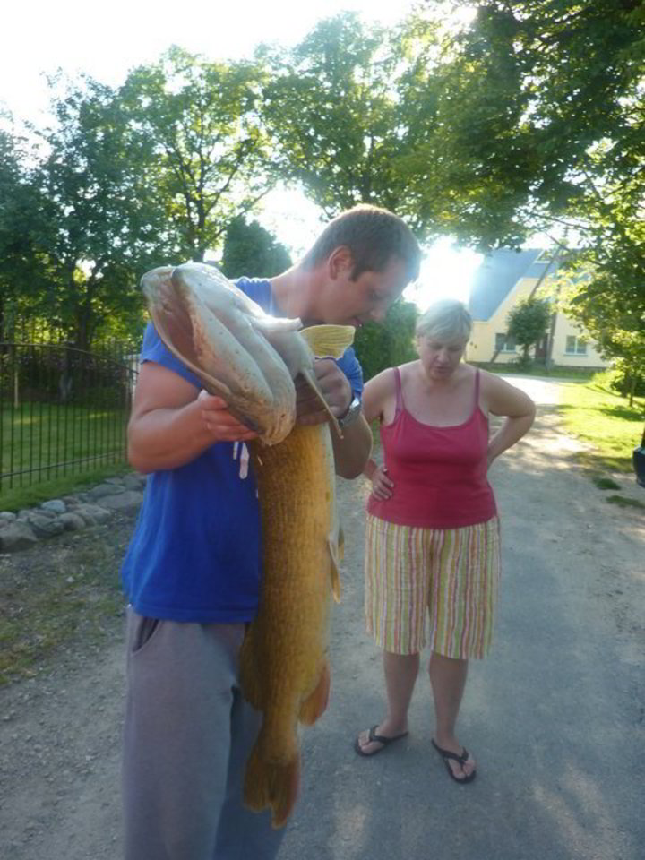 Lydeka svėrė - 8,5 kg, ilgis - 117 cm.