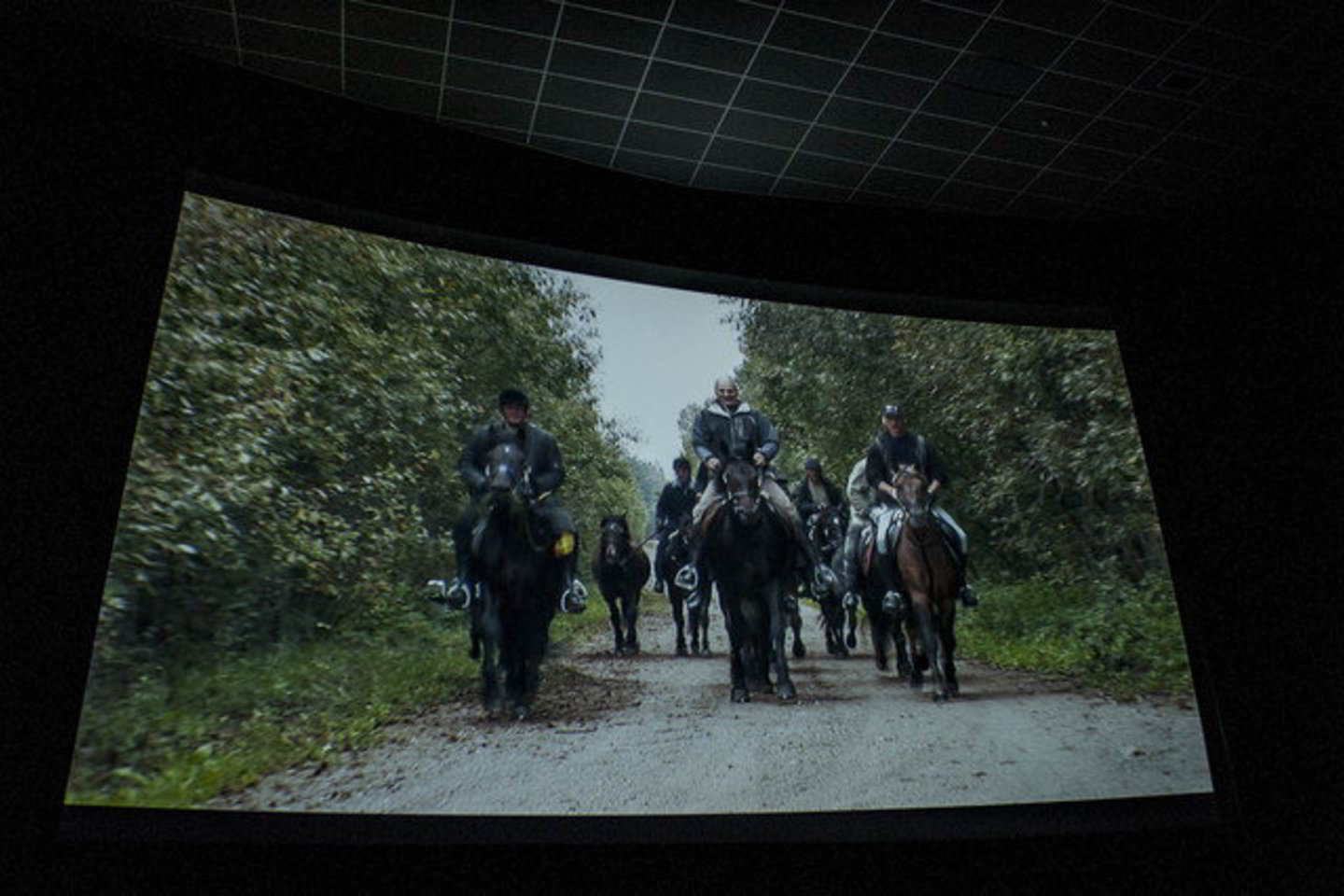 Panevėžio kino centre "Garsas" panevėžiečiai pirmieji pamatė dokumentinį filmą "2000 km istorijos".<br>V. Ščiavinskas