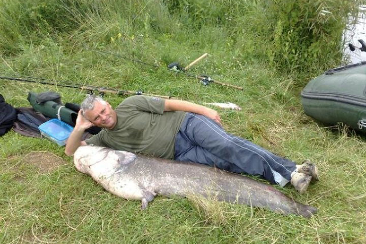 Šamas svėrė 49,6 kilogramo.