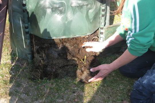 Būtina mažinti biologiškai skaidžių atliekų kiekį sąvartynuose