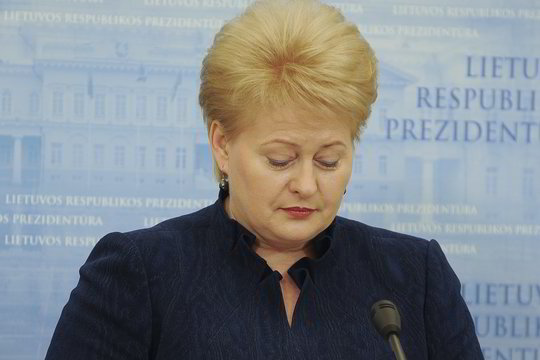 D. Grybauskaitės reitingai - rekordiškai maži