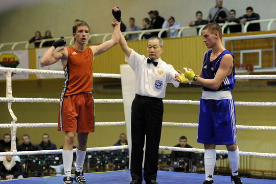 T. Stankevičius – tarptautinio bokso turnyro Rusijoje nugalėtojas