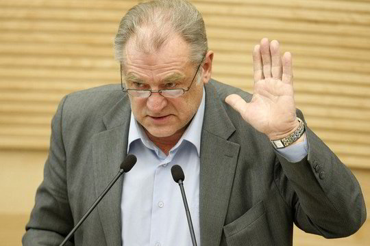 J. Veselkos darbus Seime nori tęsti jo dukra