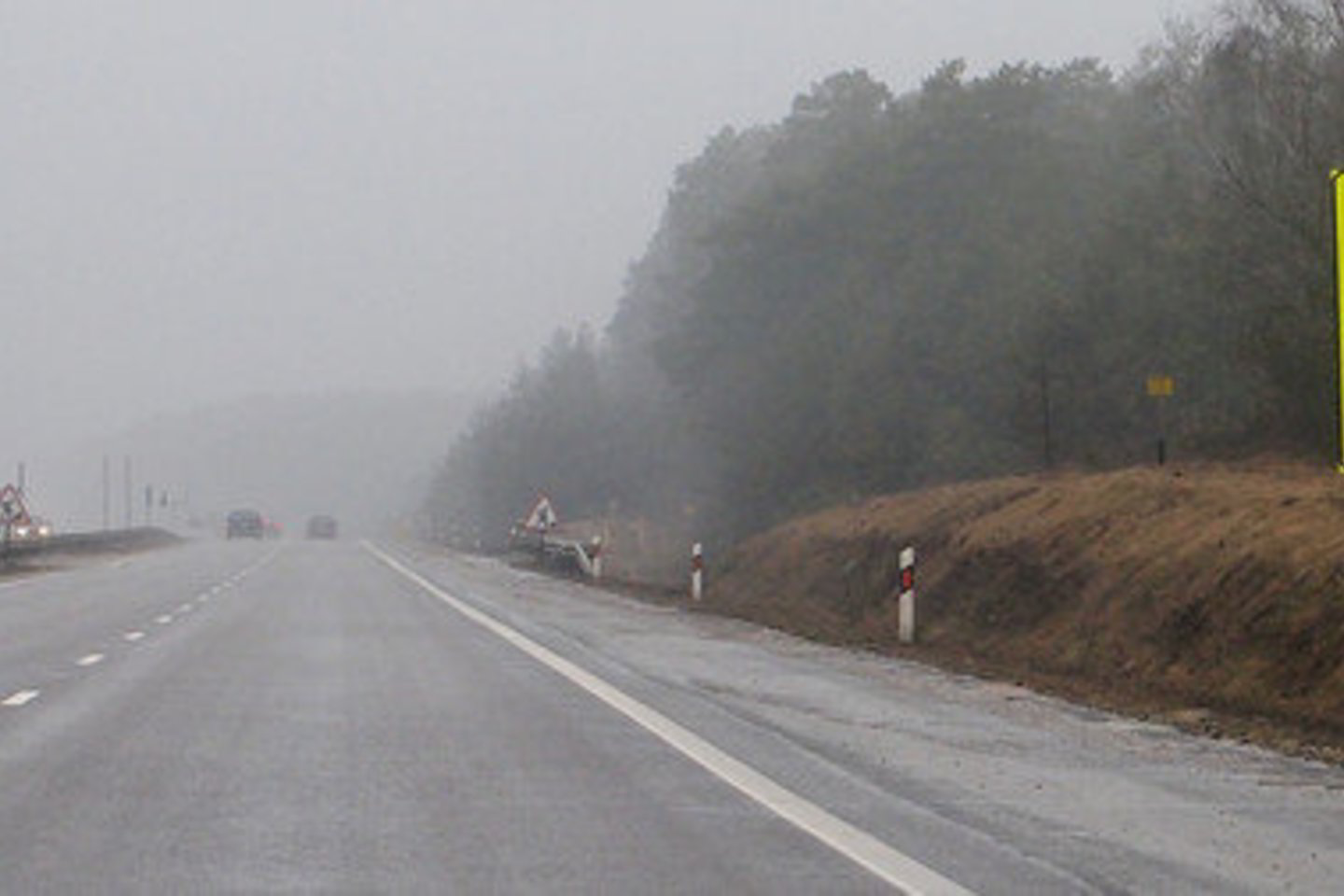Žemaitiją gaubia rūkas.