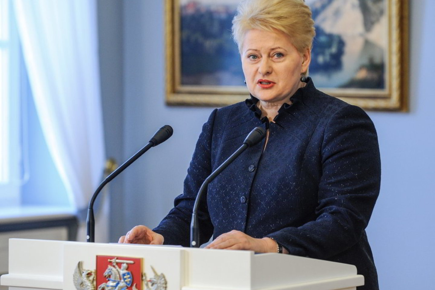 D. Grybauskaitė savo pranešimu informavo, kad tvirtina naująją Vyriausybę, kurioje kol kas dirbs ne 14, o 12 ministrų