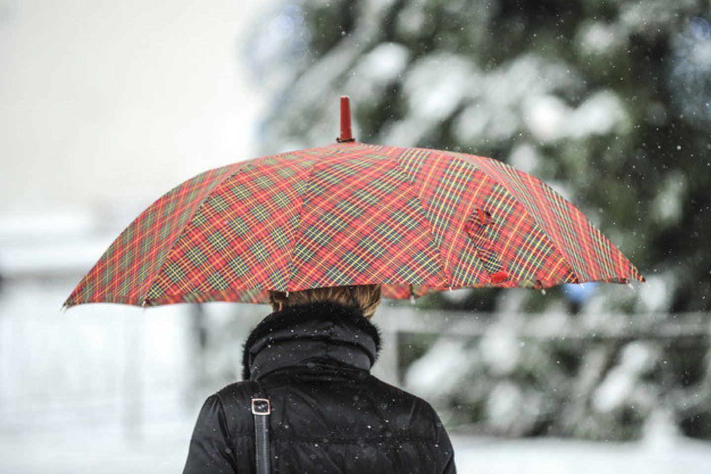 Aukščiausia temperatūra šeštadienį nuo 2 iki 7 laipsnių šalčio.