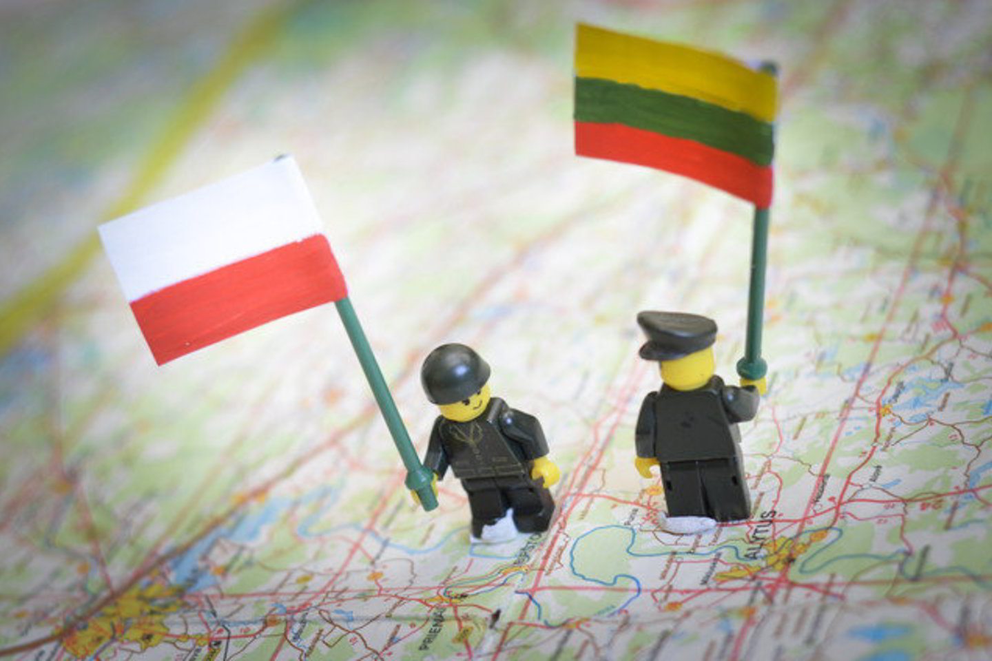 Lietuva yra vienintelė valstybė už Lenkijos ribų, kur lenkiškai galima įgyti išsilavinimą nuo darželio iki aukštosios mokyklos.