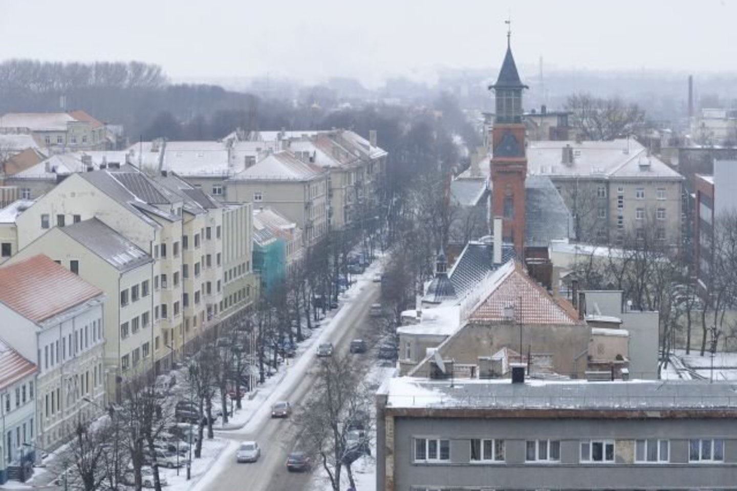 Siūloma Vyriausybei, bendradarbiaujant su Klaipėdos krašto savivaldybėmis, sudaryti Klaipėdos krašto atgavimo 90-ųjų metinių minėjimo komisiją ir jai pavesti parengti bei įgyvendinti šių metinių minėjimo programą.