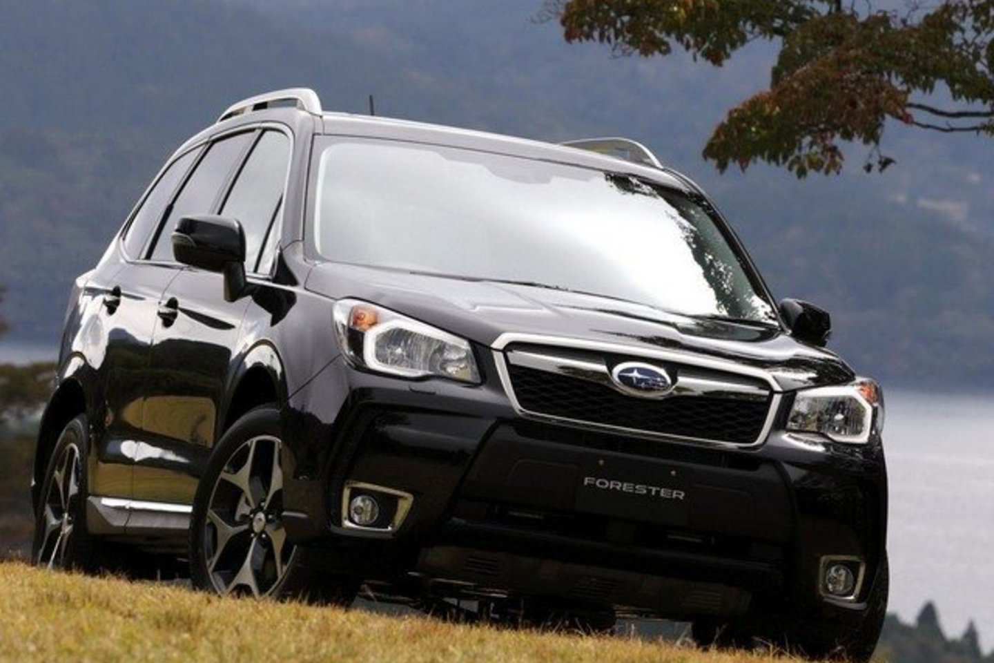 Naujasis "Forester" graibstomas pirkėjų Japonijoje - per mėnesį gauta 8 tūkstančiai užsakymų.