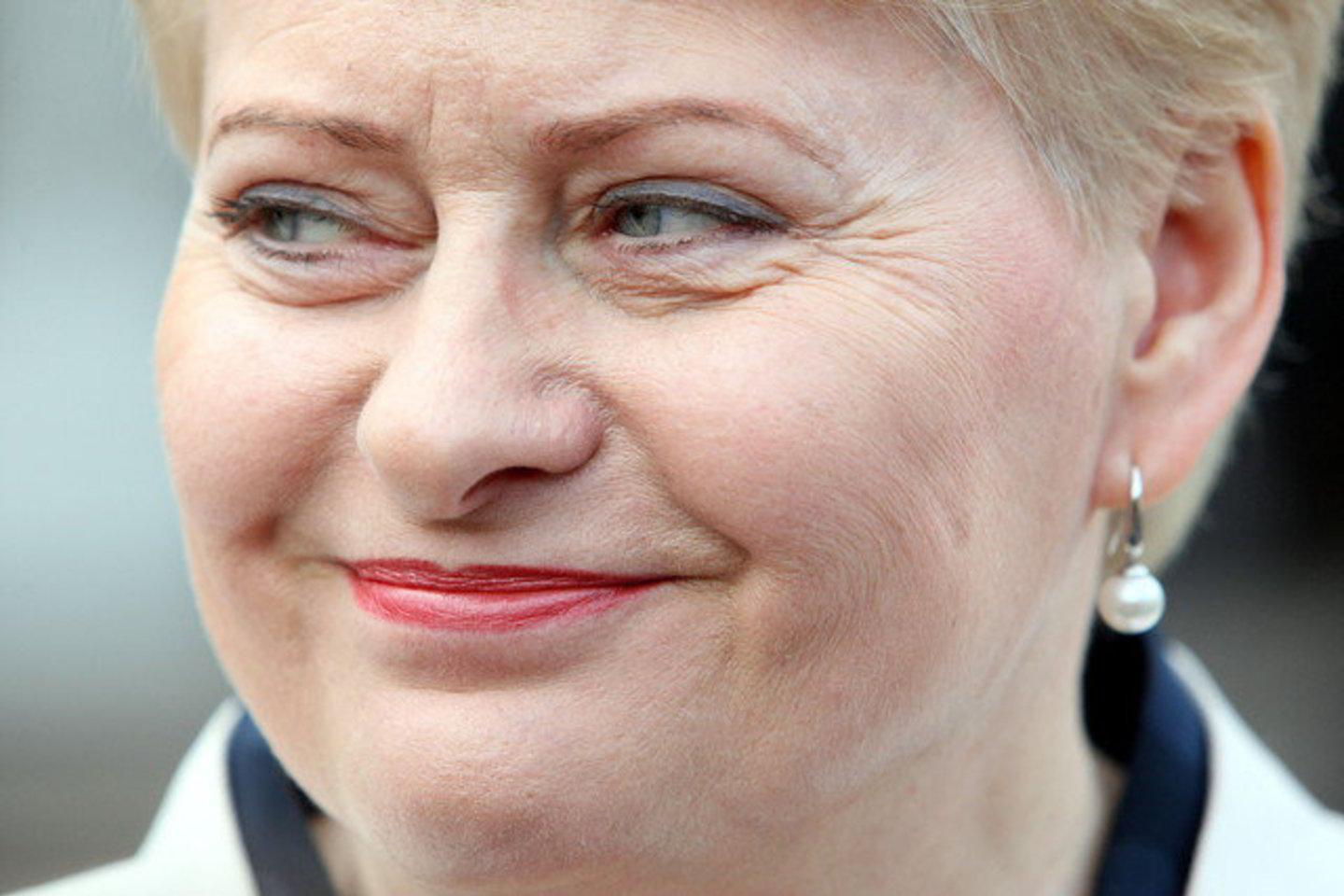 Dalia Grybauskaitė teigia, kad valstybės biudžetas atitinka atsakingos finansų politikos uždavinius.