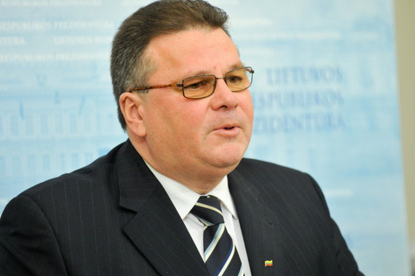„Mes ypač vertiname jūsų paramą Lietuvai rengiantis pirmininkauti ES Tarybai", - sakė L. Linkevičius.
