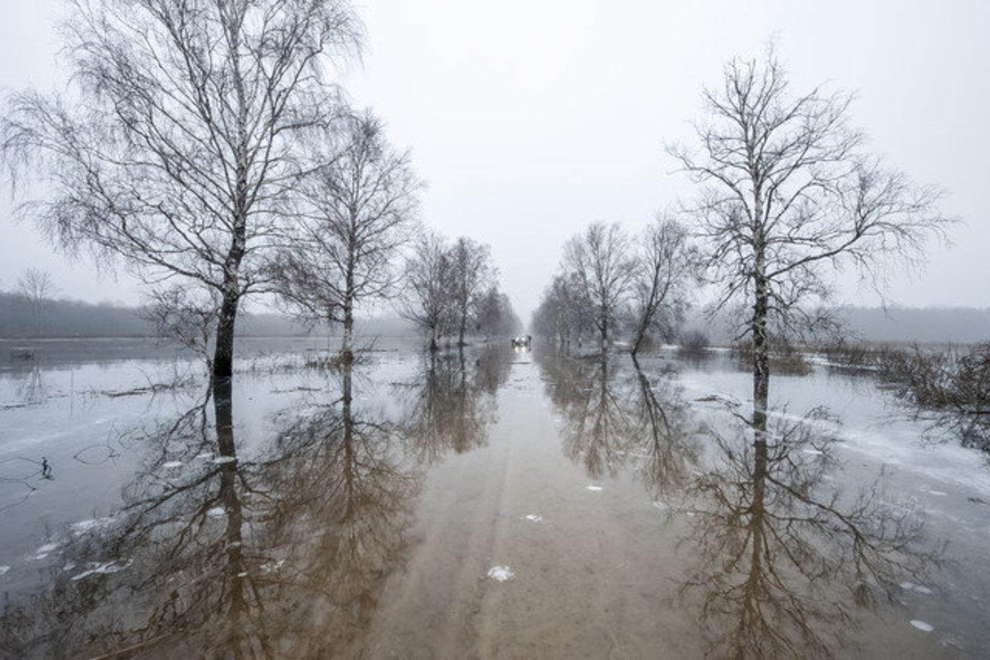 Pagėgių savivaldybės vadovai svarsto skelbti ekstremalią situaciją.