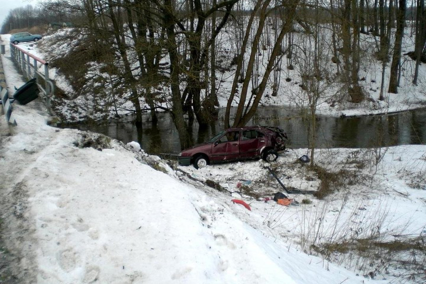 Nuo kelio nuslydęs automobilis „Renault 19“ trenkėsi į paupio medžius.