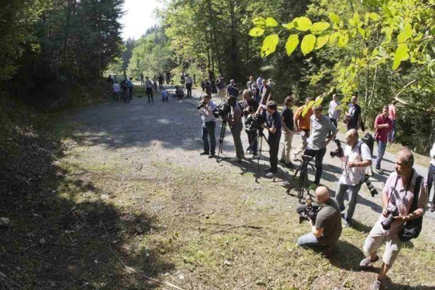 Žurnalistai tragedijos vietoje, kur buvo rastas automobilis su sušaudytais 3 šeimos nariais.